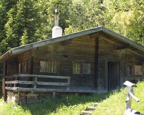 Sommer auf der fengtirolis-Alm im Zillertal