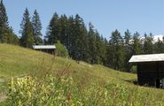 Sommerlicher Blick über die Wiesen auf der fengtirolis-Alm